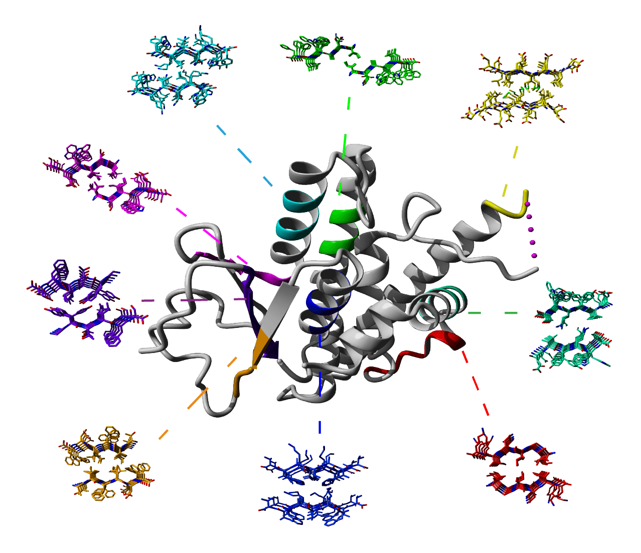 Cordax maps amyloid-forming segments on protein sequences
