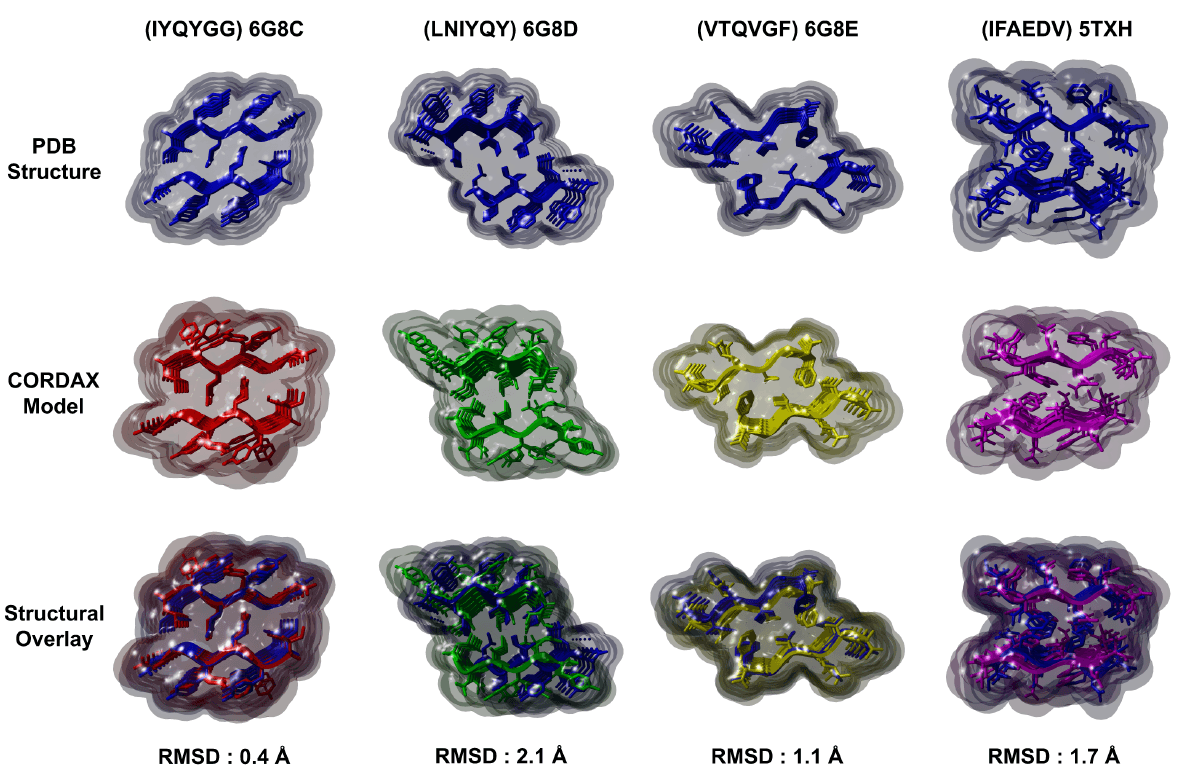 Examples of Cordax topology models.