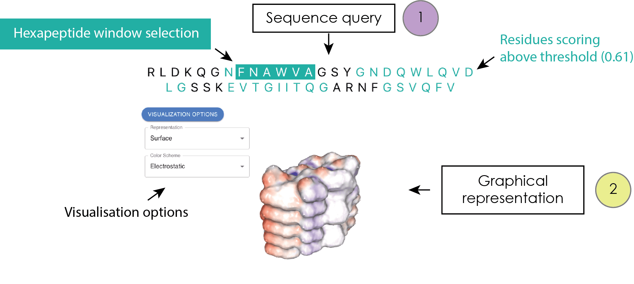 Query sequence / Structural representation